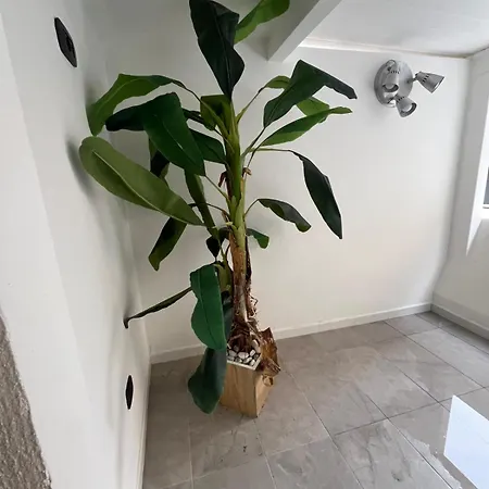 Margo Apartment Bari